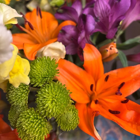 Meet your Posher, Cynthia - Picture 2 of 6